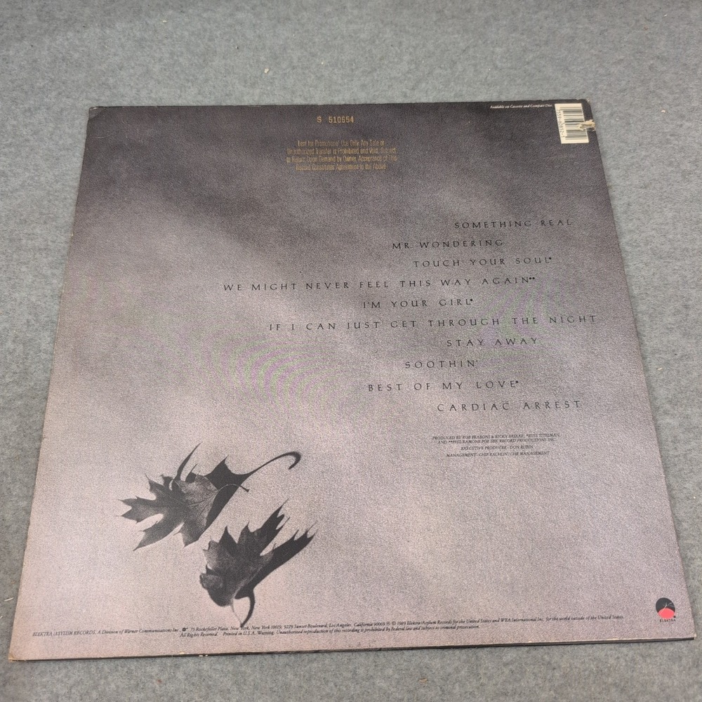 Phoebe Snow Something Real Vinyl LP 1989 Promo DMM Audiophile 60852-1 VG - Picture 3 of 8